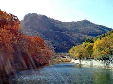 新澳门二四六天天彩，丰田大水牛